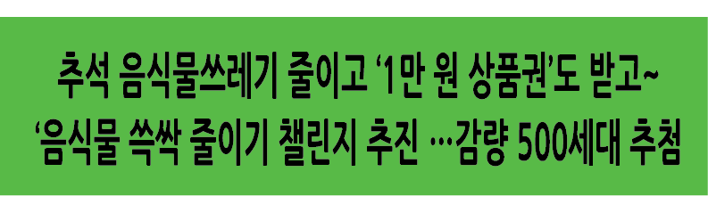 Alt 속성 문제 해결 설명 이미지