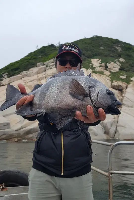 먹자 포구 돌돔 자연산 대물 돌돔회 전남 순천 맛집 추천
