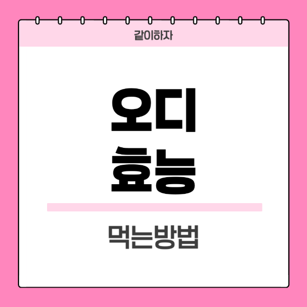 오디-효능