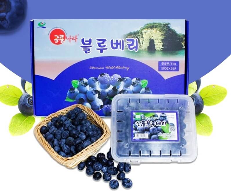 생생정보 2314회 수확의 달인 고성 블루베리 산들블루베리 주문방법