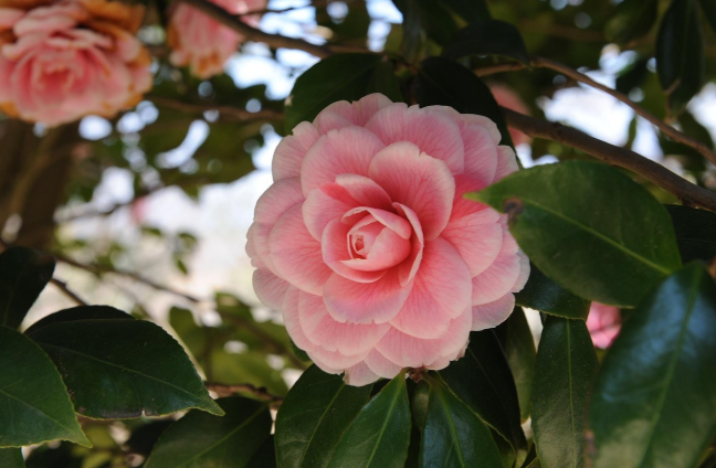 해남군 역사 명소 음식점