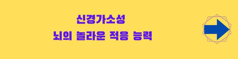AI 시대에 대비하기 위한 인간의 준비
