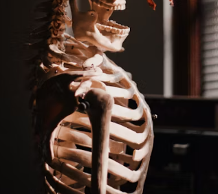 골다공증 초기증상 원인 치료방법