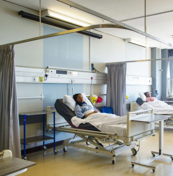 글의 이해를 돕는 사진