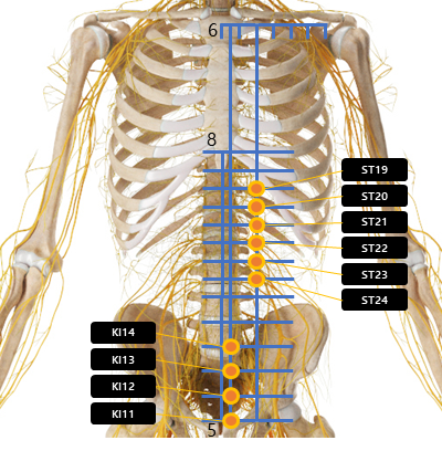 복부 주변 혈자리 요약