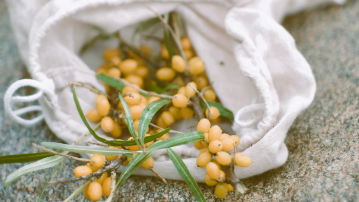 The biological changes associated with aging 7