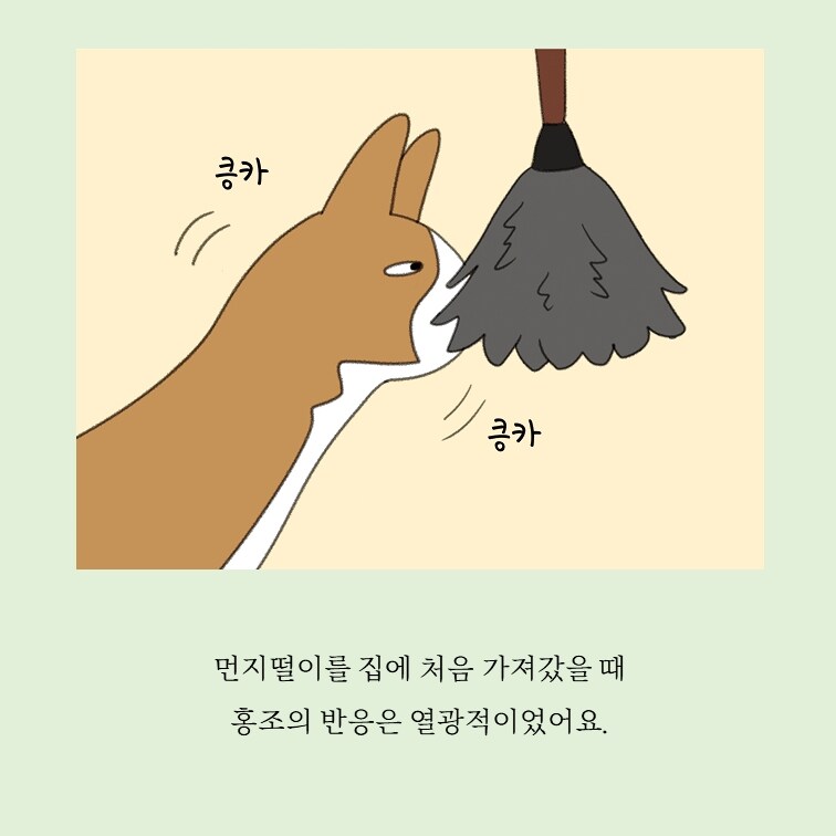 홍조 민정원 1인1묘살림일지