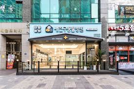 소비쿠폰네이버지도13