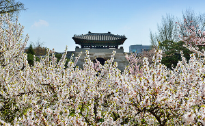 경복궁 야간관람