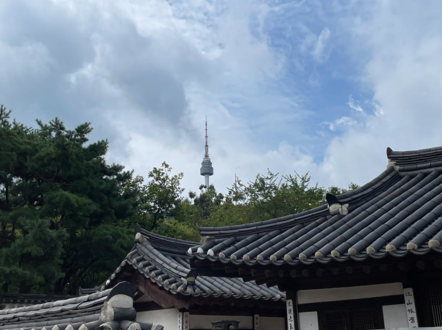 6월에 딱 좋은 서울 여행지 계절꽃, 야시장, 뷰포인트