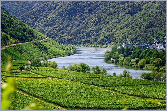 긴급의료비지원