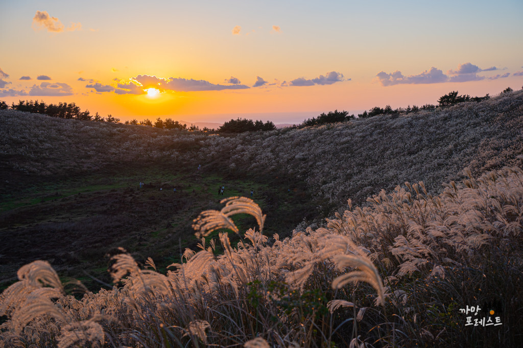 제주 금오름 정상 풍경