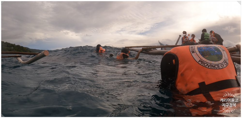 세부 오슬롭 고래상어