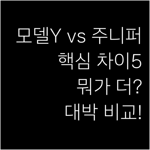모델Y 주니퍼 기존 모델과 비교 분석..