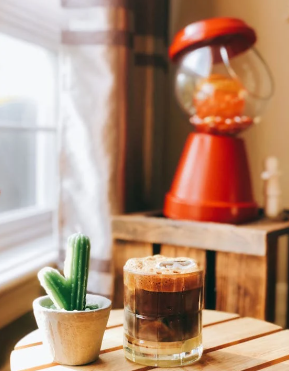 식물과 함께 하는 아침