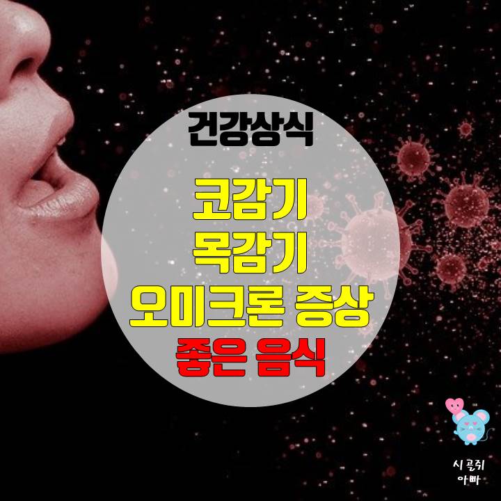 목감기, 코감기에 좋은 음식 - 오미크론 증상 건강상식