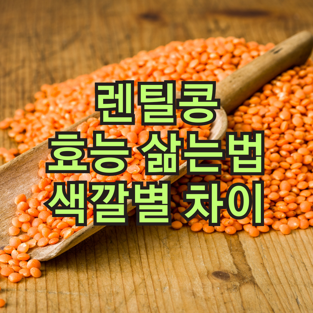 렌틸콩 효능과 부작용 그리고 렌틸콩 색깔별 차이점과 효능, 삶는 방법과 활용법