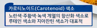 루테인 지아잔틴