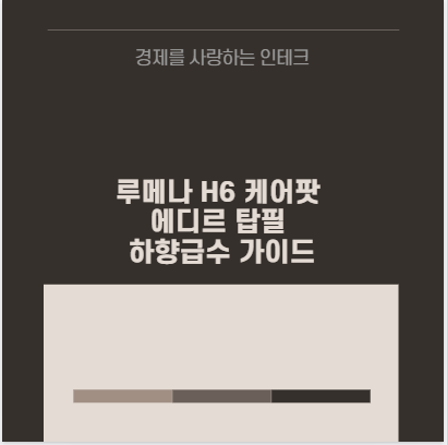 루메나 H6 케어팟 에디르 탑필 하향급수 가이드