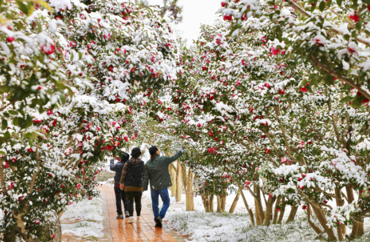 겨울 제주도 여행