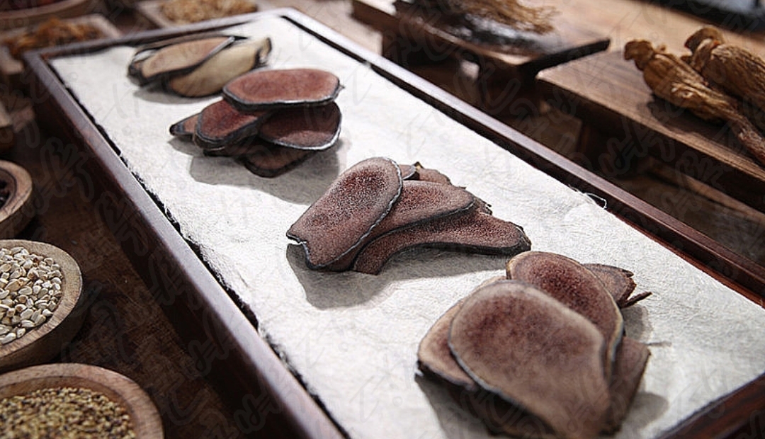 이경제 더힘찬녹용 효능 부작용