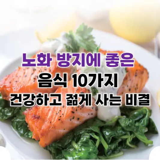 노화 방지에 좋은 음식 10가지: 건강하고 젊게 사는 비결