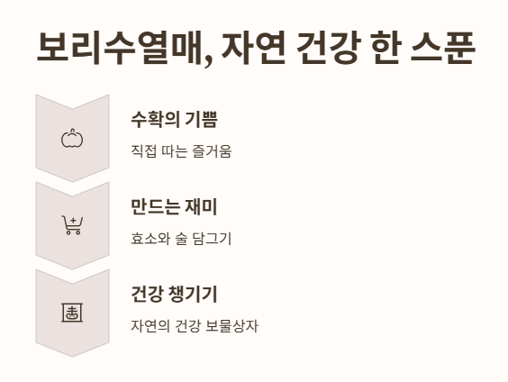 결론: 보리수열매, 일상 속 자연 건강 한 스푼