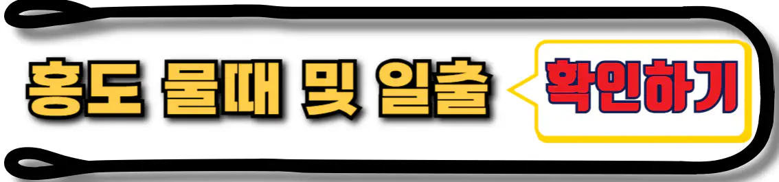 홍도 물때 및 일출 시간