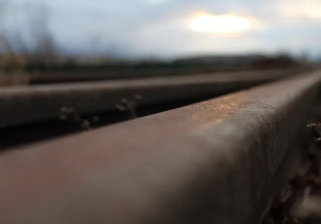 잎닦기 관리 미세먼지제거 광합성도움 우유물사용 주의점_5