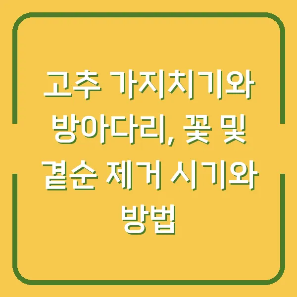 고추 가지치기와 방아다리, 꽃 및 곁순 제거 시기와 방법