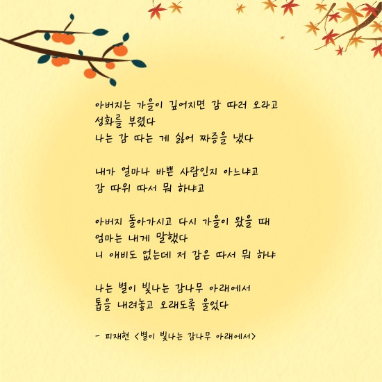 '별이 빛나는 감나무 아래에서' 시 이미지