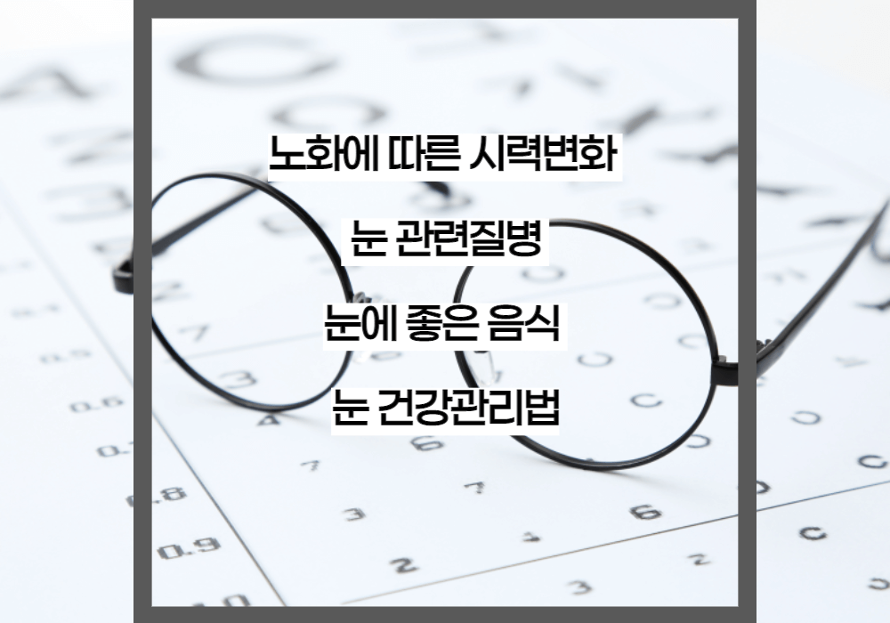 노화에 따른 시력변화 눈 관련질병 눈에 좋은음식 눈건강관리법