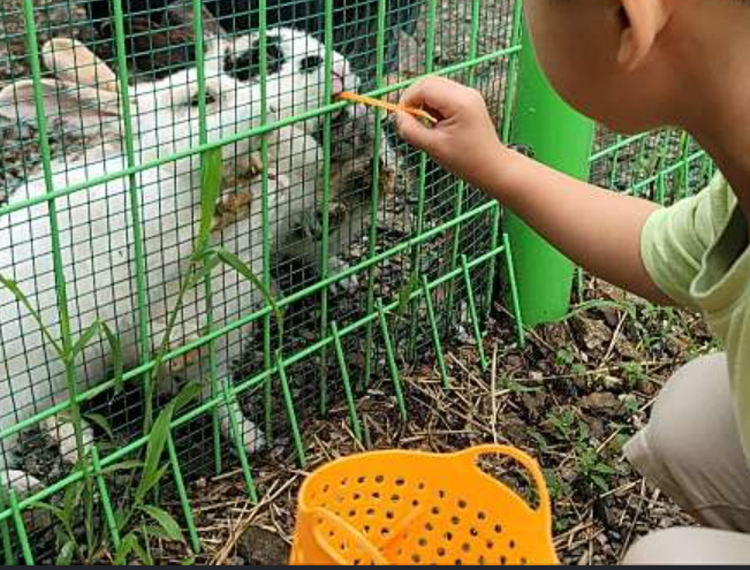 센트럴 곤충 생태농장