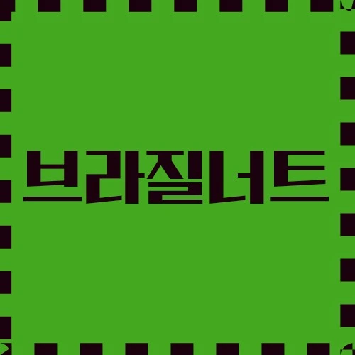 브라질너트 다재다능한 재료, 다용도 활용, 스킨케어 보급에 대하여 알아봅니다.