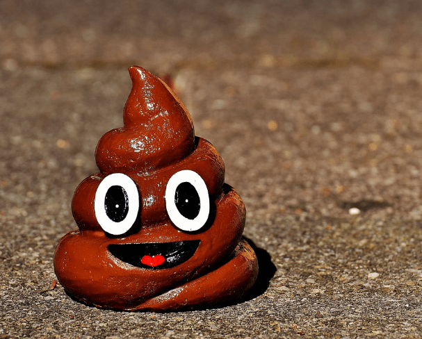 똥 지리는 꿈해몽