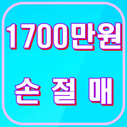 1700만원 손절매
