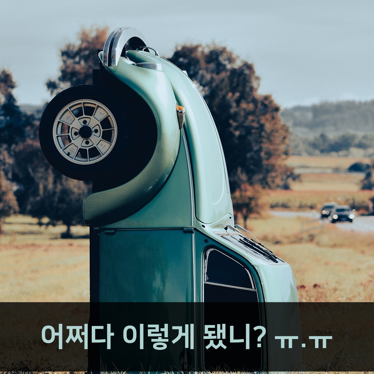 반면교사, 폭스바겐의 실패에서 배우는 교훈?