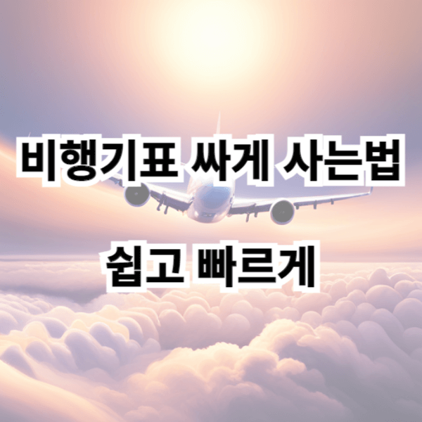 비행기표 싸게 사는법