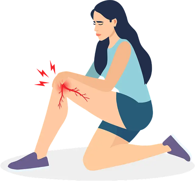 설 연휴 기간 응급의료기관