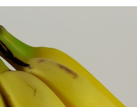 바나나보관법