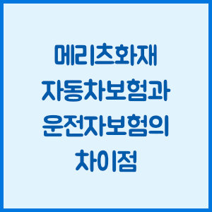 메리츠화재 자동차보험과 운전자보험의 차이점