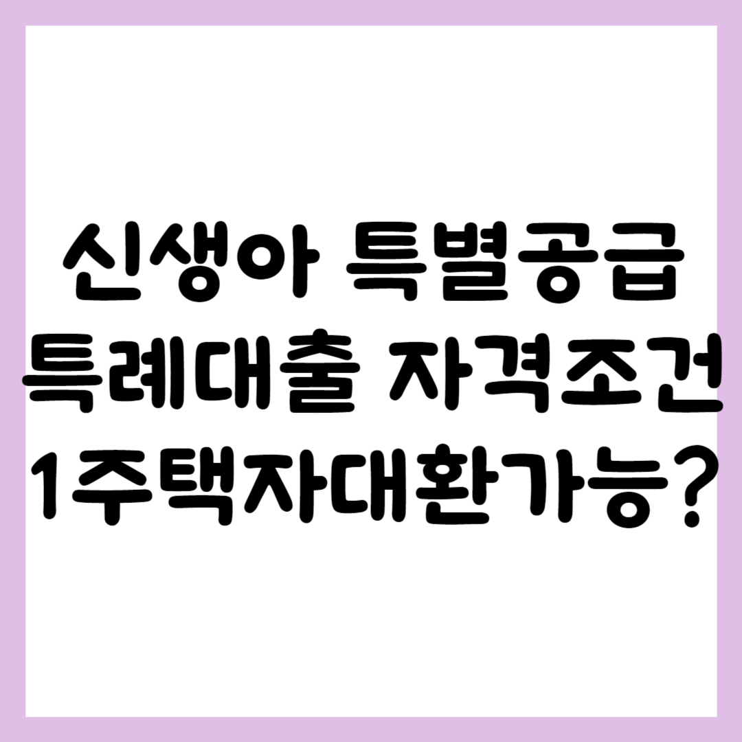 신생아 특공 1주택자