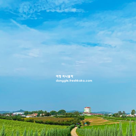 안성 가볼만한곳 베스트10