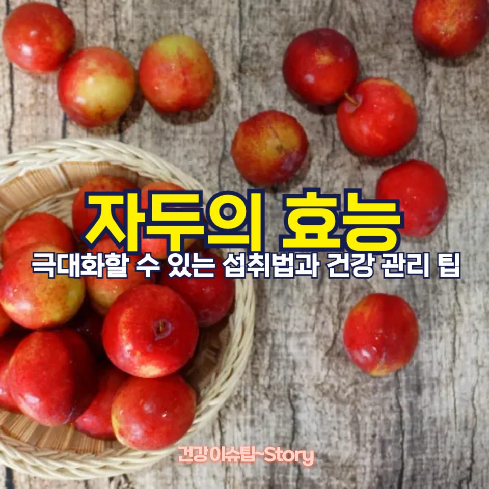 자두의 효능
