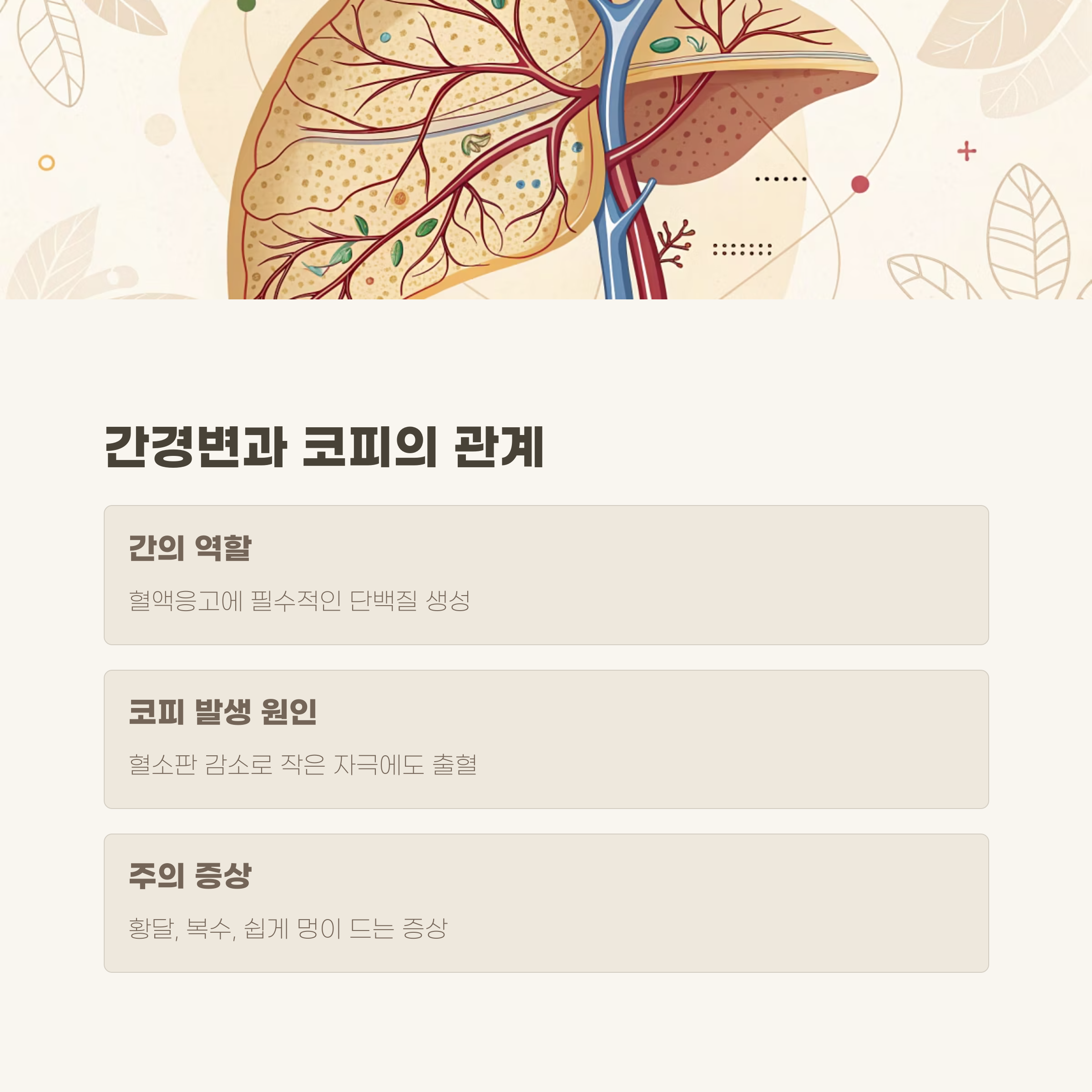 간경변: 혈소판 감소가 코피 원인이 될 수 있다