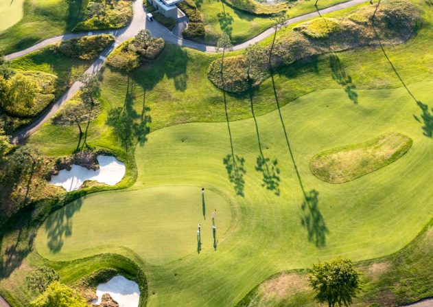 골프보험 홀인원보험