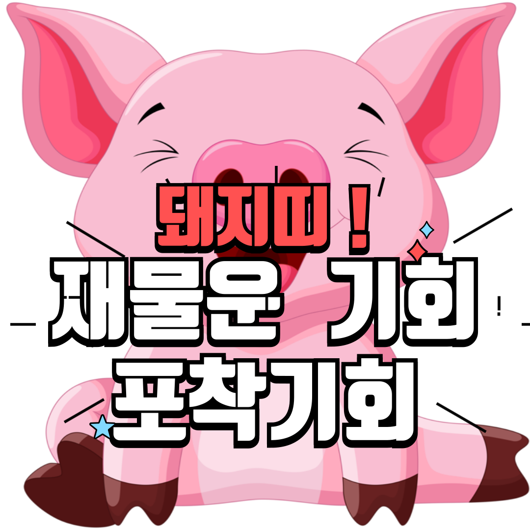 돼지띠-운세-11월