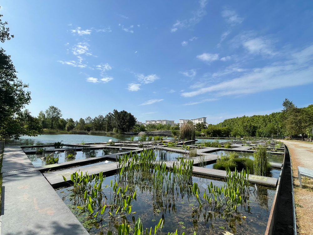 보르도 식물원2 - 수생정원