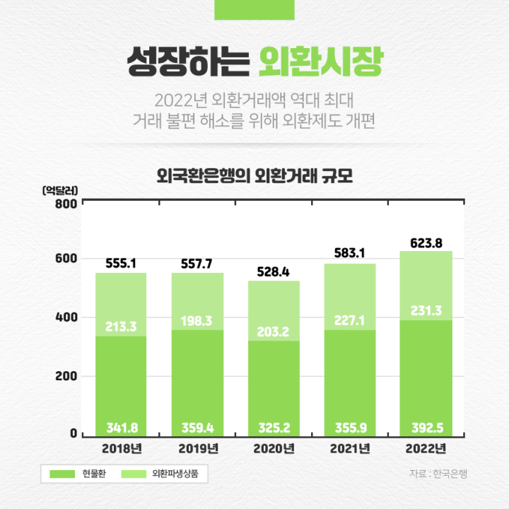 성장하는 외환시장