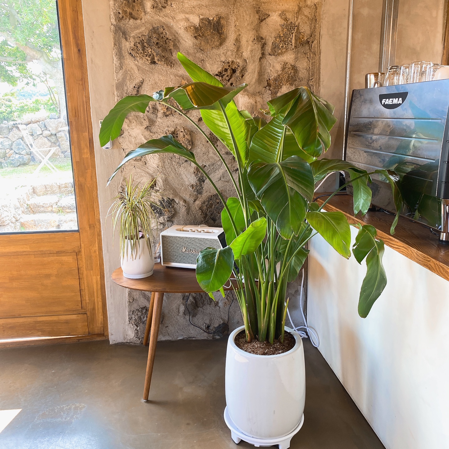 제주 서귀포 성산 혼인지 돌창고 개조 돌집 카페 고요히